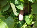 IMG_20200622_142558.jpg