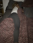 IMG_0035.jpeg