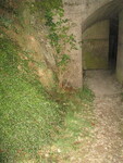 IMG_5017.JPG