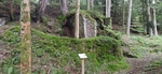 IMG_20240802_115414.jpg