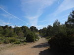 IMG_5307.jpeg