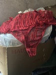 IMG_1398.jpeg