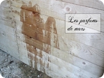 ParfumsdeMars.jpg