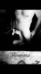 IMG_3019.jpeg