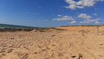 20200909_153527.jpg