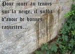 DictonduMardi-.jpeg
