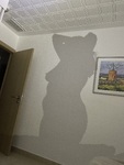 IMG_5714.jpeg