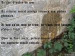 Pipi.contre.le.Mur...jpg