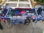 IMG-20240517-121553.jpg