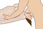 IMG_1312.png