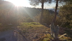 20160220_081211.jpg