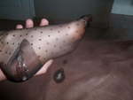 IMG_0840.jpeg