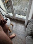 20250208_102136.jpg