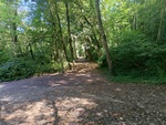 IMG_20240821_123805.jpg