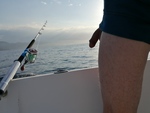 IMG_20210530_072203.jpg