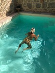 IMG_0168.jpeg