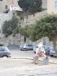 calvi047_1.jpg