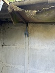 IMG_3047.jpeg