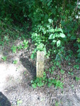 DSCN6951.JPG