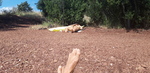 20200627_105449.jpg