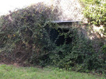DSCF0299.jpg