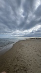 IMG_4222.jpeg
