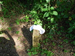 DSCN6952.JPG