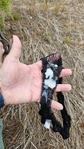 20240904_094805.jpg
