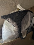 IMG_1403.jpeg