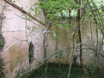 DSCF0266.jpg