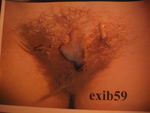 exib59PIC_0055.JPG