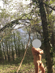 E3300A7B-E577-44B4-B3AC-B414C8372D64.jpeg
