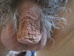 IMG_6959.JPG
