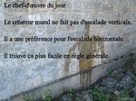 Pipi.contre.le.Mur...jpg