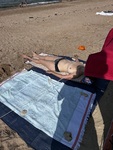 IMG_1329.jpeg