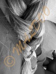 IMG_6232.jpeg