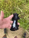 IMG_1899.jpeg