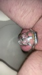 IMG_7205.jpeg