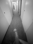 IMG_4264.jpeg