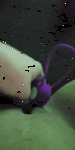 received_2414451378682927_2.gif