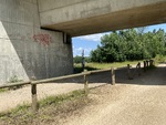 IMG_4396.jpeg