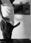20250708_150742.jpg