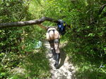 DSCN9692.JPG