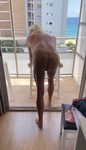 IMG_0639.jpeg