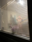 IMG_2005.jpeg