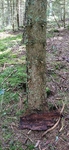 IMG_20240803_115012.jpg