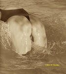 2023-09-Bob02.jpg