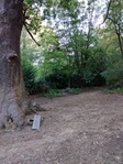 IMG_20200907_085757.jpg