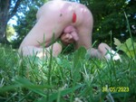 100_9697.JPG
