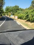 20250703_113210.jpg